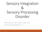 Sensory Foundations - Austin Child Guidance Center