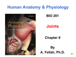 Joint Classification - Pima Community College