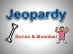 Anatomy Jeopardy