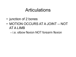 articulations