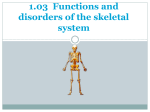 disorders of the skeletal system