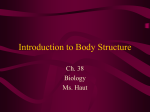 ch. 38 Introduction to Body Structure-notes-ppt