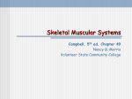 Chapter 49: Sensory and Motor Mechanisms