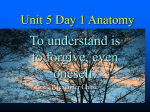 Unit 5 Day 1 Anatomy keep