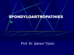 SPONDYLOARTROPATHIES