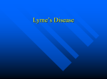 Lyme`s Disease powerpoint