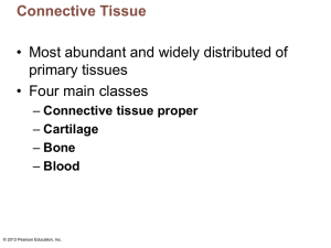 Connective Tissue - Nutley Public Schools