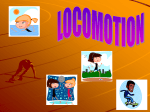 Locomotion- Powerpoint