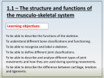 Classification of Joints