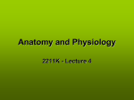 Anatomy and Physiology