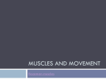 Muscles and Movement 2015