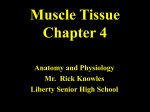 Muscle Tissue - Liberty Public Schools