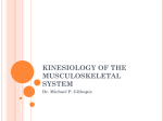 Kinesiology01_Introduction