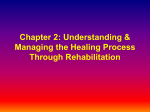 Chapter 2: Understanding the Healing Process Through Rehabilitation