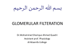 glomerular filteration
