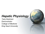 Hepatic Physiology