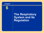 Chapter 6: Respiration