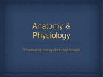 Anatomy & Physiology copy - Netdna