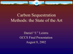 Carbon Sequestration Methods: the State of the Art