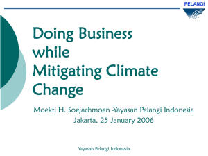 Doing Business while Mitigating Climate Change
