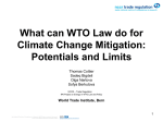 What can WTO Law do for Climate Change Mitigation