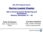 Marine/coastal Chapter WG on Environmental Monitoring and