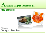 Animal Improvement in Tropical regions2