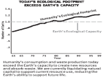 Impact on Eco-Systems