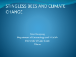 Stingless bees - IFES Symposium on Climate Change