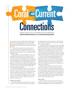 Coral Current Connections I