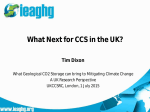 What Next for CCS in the UK? Tim Dixon