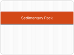 Sedimentary Rock - Lee County Schools