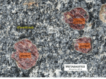 Meta3-14Basites