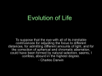 Evolution of Life on Earth