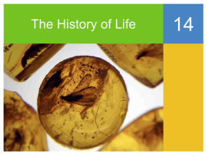 The History of Life