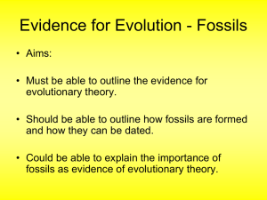 Biology 4.27 Fossils