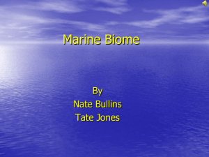 Marine Biome