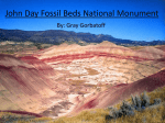 John Day Fossil Beds National Monument - Brown