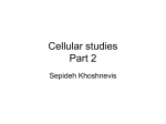 Cellular studies Part 2