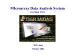 MIDAS2_19