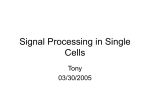 Signal Processing in Single Cells