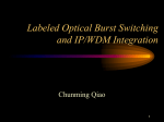 Labeled Optical Burst Switching and IP/WDM Integration