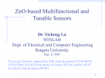 ZnO-based Multifunctional and Tunable Sensors