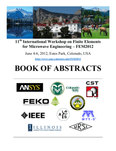 BOOK OF ABSTRACTS  11 International Workshop on Finite Elements