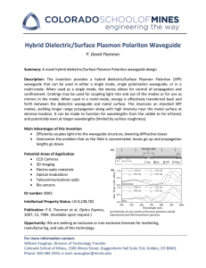 Hybrid Dielectric/Surface Plasmon Polariton Waveguide P. David Flammer