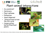 Chapter 20: Coevolution and Mutualism