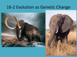 Evolution as Genetic Change