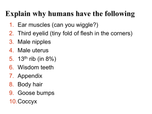 Darwinian Evolution (ch 22) Campbell PPT