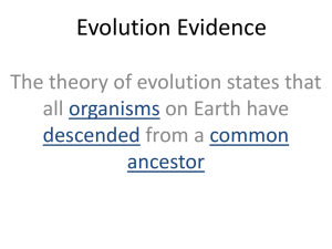 Evolution Evidence Notes