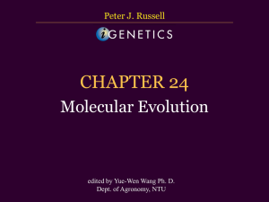 CHAPTER 24 Molecular Evolution